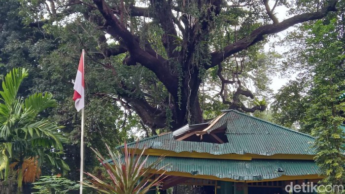 Pendopo makam Sultan Baabullah Datu Syah mengalami kerusakan usai tertimpa batang pohon.