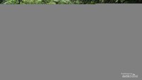 Jembatan bambu di depan curug Romantis