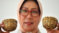 Perajin menunjukan kerajinan berbahan eceng gondok di tepian Danau Maninjau, Tanjung Raya, Agam, Sumatera Barat, Sabtu (16/9/2023). 