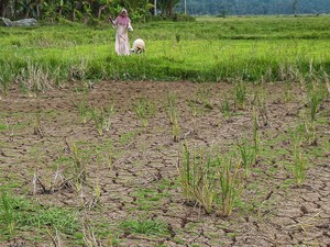 Sejumlah Kecamatan di Pandeglang Masih Alami Kekeringan