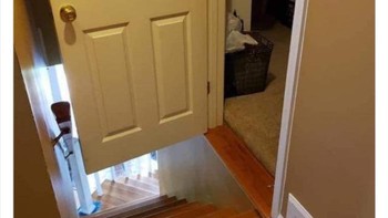 Semoga pemilik tidak asal melangkah. Foto: Boredpanda/mistakespics