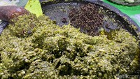 Lalu di sampingnya ada cobek besar berisi sambal cabe hijau yang dicampur andaliman. Semuanya diulek fresh setiap sore.