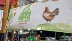 Cicip Ayam Gepuk Sambal Hijau Andaliman Buatan Duo Pengacara