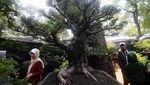 Melihat Ragam Flora dan Fauna di Pameran Flona 2023