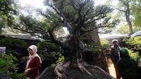Pengunjung melihat-lihat tanaman yang dipamerkan di Pameran Flona 2023. 