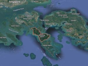 Apa Kabar Investasi Rp 175 T di Pulau Rempang? Ini Jawaban BKPM
