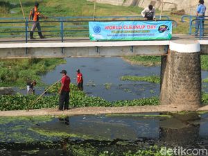 Bersih-bersih Sungai Gelis di Ploso Kudus, Relawan Raup 2 Truk Sampah-Eceng