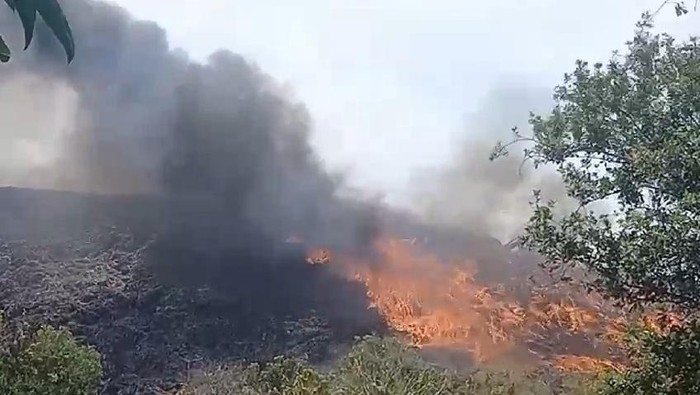 TPA Putri Cempo Solo kebakaran, Sabtu (16/9/2023).