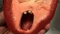 Saat potong paprika, netizen ini tak sengaja menemukan ekspresi lucu dari paprika yang tengah berteriak lengkap dengan gigi dari biji paprika. Foto: Pool/Site