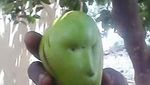 Unik! Sayur dan Buah Ini Bentuknya Mirip Wajah Manusia hingga Hewan