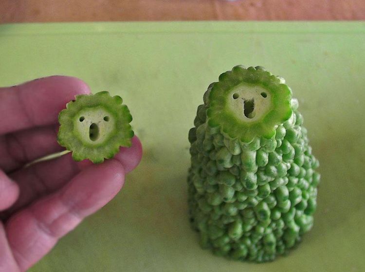 Unik! Sayur dan Buah Ini Bentuknya Mirip Wajah Manusia hingga Hewan