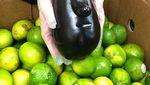 Unik! Sayur dan Buah Ini Bentuknya Mirip Wajah Manusia hingga Hewan