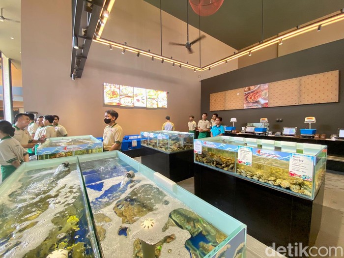 Bandar Djakarta Bandar Djakarta buka cabang baru di PIK 2 dengan konsep lebih modern.