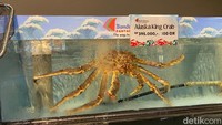 Jenis seafood yang ditawarkan beragam. Banyak pilihan ragam kepiting, bahkan tersedia Alaskan King Crab yang harganya dibanderol Rp 395.000 per 100 gram. Foto: detikFood