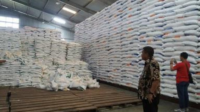 Kepala Bulog Sumut saat mengecek pasokan beras di gudang. (Foto: Dok Bulog Sumut).