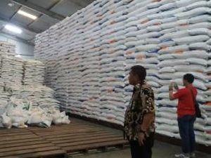 Nias Minta Penyaluran Beras Bantuan Diberikan Sekaligus, Begini Alasannya