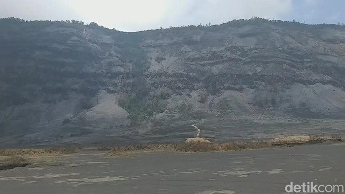 Penampakan Bukit Teletubbies Gunung Bromo pascakebakaran