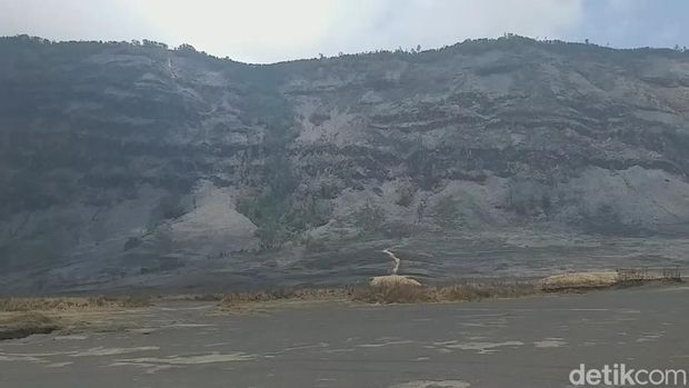 Penampakan Bukit Teletubbies Gunung Bromo pascakebakaran