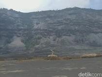 Pemandangan Terkini Kawasan Gunung Bromo Usai Kebakaran