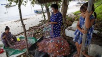 Mereka khawatir terkait rencana relokasi warga untuk proyek strategis nasional (PSN) Rempang Eco-City Pulau Rempang. 