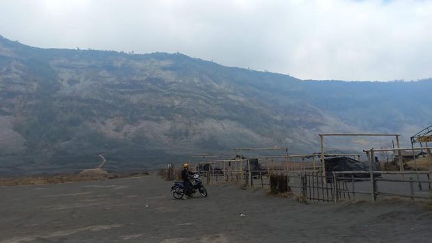 Sejumlah perwakilan Kementerian Lingkungan Hidup dan Kehutanan meninjau Bromo usai kebakaran imbas flare prewedding.