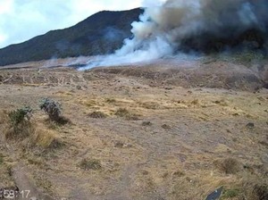 Api di Gunung Gede Pangrango Padam, Alun-alun Suryakencana Gosong 3 Hektar