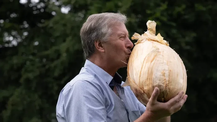 Seorang laki-laki asal Inggris berhasil memanen satu bawang berukuran hampir 9 kg (lebih tepatnya 8,97 kg). Bawang itu pun benar-benar terlihat sangat besar.