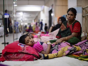 Nyaris Seribu Orang di Bangladesh Tewas gegara Penyakit Mematikan Ini