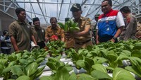 Bupati Boyolali M Said Hidayat memanen sayuran yang ditanam dengan metode hidroponik di kawasan edukasi pertanian dan peternakan inklusi, Desa Keposong, Tamansari, Boyolali, Jawa Tengah, Senin (18/9/2023).  