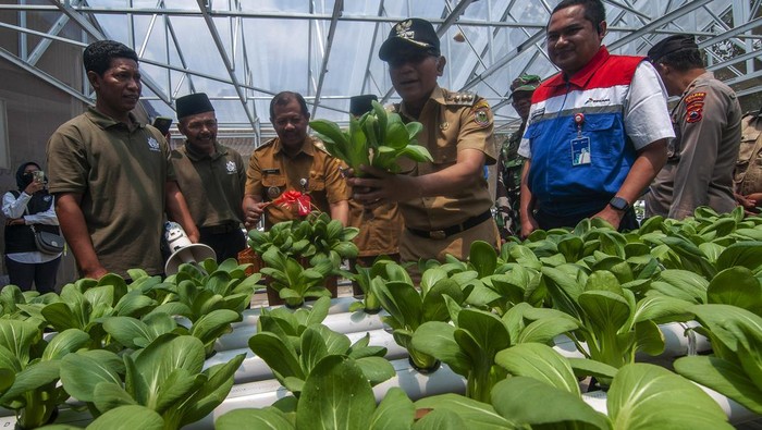 Edukasi buat Masyarakat Difabel Bisa Jadi Petani dan Peternak Warga merawat sayuran yang ditanam dengan metode hidroponik di kawasan edukasi pertanian dan peternakan inklusi, Desa Keposong, Tamansari, Boyolali, Jawa Tengah, Senin (18/9/2023). Kawasan edukasi pertanian dan peternakan inklusi Pandawa Patra yang dikembangkan dari program tanggung jawab sosial lingkungan PT Pertamina Patra Niaga bertujuan untuk membantu masyarakat difabel agar berkembang dan mandiri dalam ekonomi. ANTARA FOTO/Aloysius Jarot Nugroho/rwa.