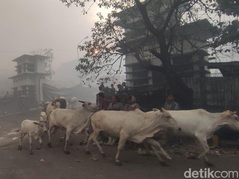 Kebakaran di TPA Jatibarang, Semarang, Senin (18/9/2023) sore.