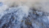 Balai Pengendalian Perubahan Iklim dan Kebakaran Hutan dan Lahan Wilayah Sumatera menerjunkan 9 regu Manggala Agni dari Daops OKI, Lahat, Muba, Banyuasin dan Jambi untuk melakukan pemadaman kebakaran lahan gambut di wilayah tersebut.