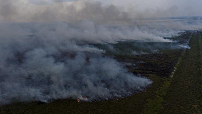 Kebakaran lahan gambut di Pedamaran Foto udara asap membumbung tinggi dari kebakaran lahan gambut di Pedamaran, Ogan Komering Ilir (OKI), Sumatera Selatan, Senin (18/9/2023). Balai Pengendalian Perubahan Iklim dan Kebakaran Hutan dan Lahan Wilayah Sumatera menerjunkan 9 regu Manggala Agni dari Daops OKI, Lahat, Muba, Banyuasin dan Jambi untuk melakukan pemadaman kebakaran lahan gambut di wilayah tersebut. ANTARA FOTO/Nova Wahyudi/rwa.