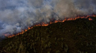 Potret Kebakaran Lahan Gambut di Pedamaran Ogan Ilir