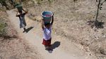 Kemarau Tak Berkesudahan, Warga Jalan 2 Km Demi Air Bersih