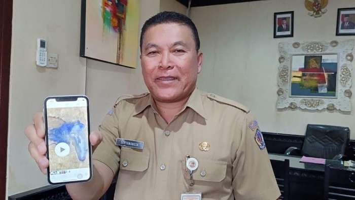 Kepala Dinas Perikanan dan Ketahanan Pangan Kota Denpasar, Ida Bagus Mayun Suryawangsa ketika menunjukkan foto ubur-ubur beracun atau blue bottle, Senin (18/9/2023). (Ni Made Lastri Karsiani Putri-detikBali)
