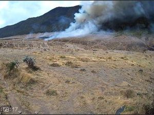Alun-alun Suryakencana Gunung Gede Terbakar, Taman Edelweiss Terancam
