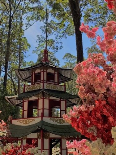 Lawu Green Forest Flower Garden Magetan.
