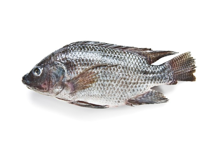 Ngeri! Wanita Ini Hampir Tewas Gegara Makan Ikan Nila