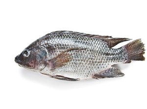 5 Ikan Air Tawar yang Tinggi Protein untuk Asupan Harian
