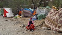 Di sepanjang jalan terpencil yang menghubungkan desa-desa Amazigh, atau Berber, para penyintas berkemah di bawah lembaran plastik, takut gempa susulan dapat menghancurkan rumah mereka yang rusak. REUTERS/Hannah Mckay  