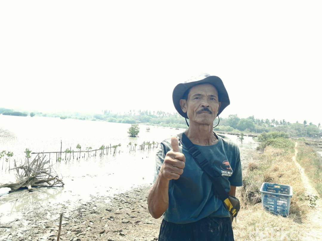 Tambak
