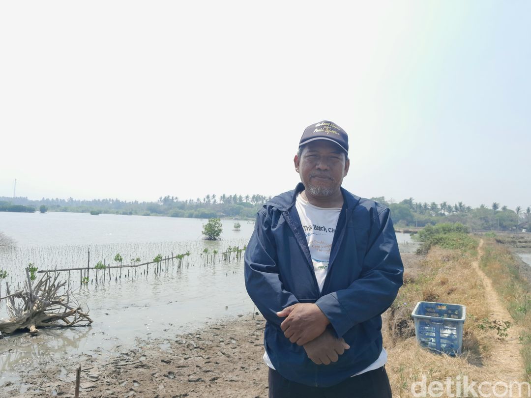 Tambak