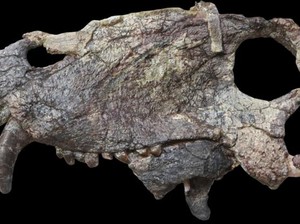 Hewan Bertaring Besar Ini Berkuasa Sebelum Era Dinosaurus