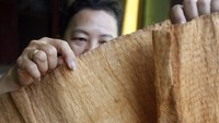 Potensi itulah yang kemudian menarik minat pengusaha kriya asal Tarakan, Kalimantan Utara, Agatha Chelsea Fangessa (54) untuk mengubah lembaran kulit kayu terap menjadi kerajinan tas jinjing, tas tangan, dan singal atau ikat kepala khas Kaltara.  