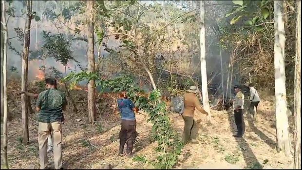 10 Hektare Lahan di Tulungagung terbakar.