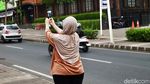 Bunga Tabebuya di Jalan Sudirman dan Kemang Raya Mulai Berguguran