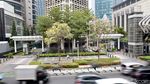 Bunga Tabebuya di Jalan Sudirman dan Kemang Raya Mulai Berguguran