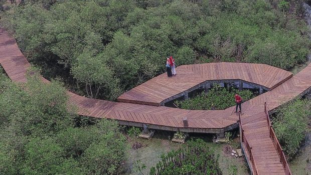 Hutan Mangrove Gunung Anyar Surabaya.