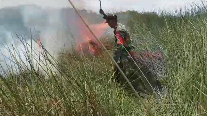 Kebakaran lahan gambut di Pulau Enggano